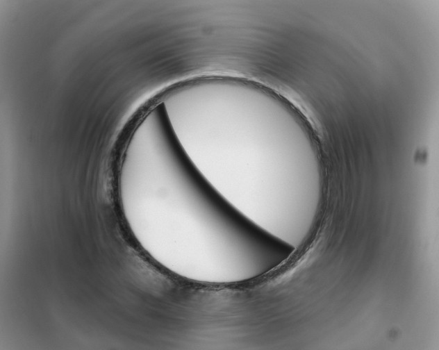X0000102360926200808010956