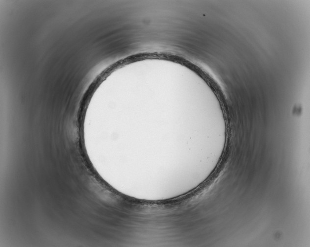 X0000102360927200808010956