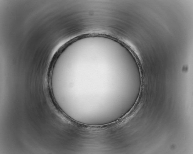 X0000102360928200808010956