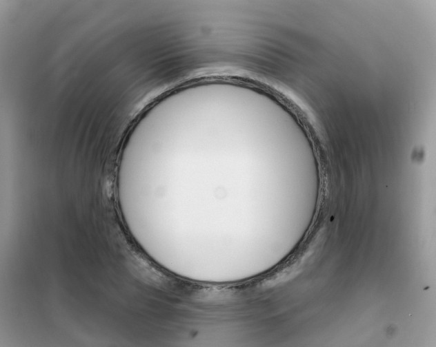 X0000102360929200808010956