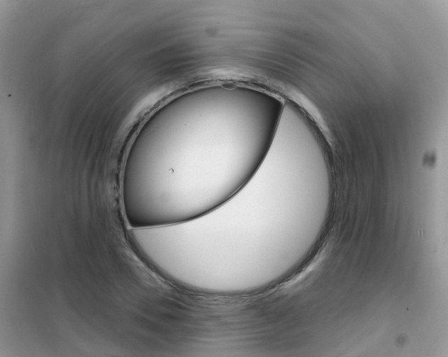 X0000102360930200808010956