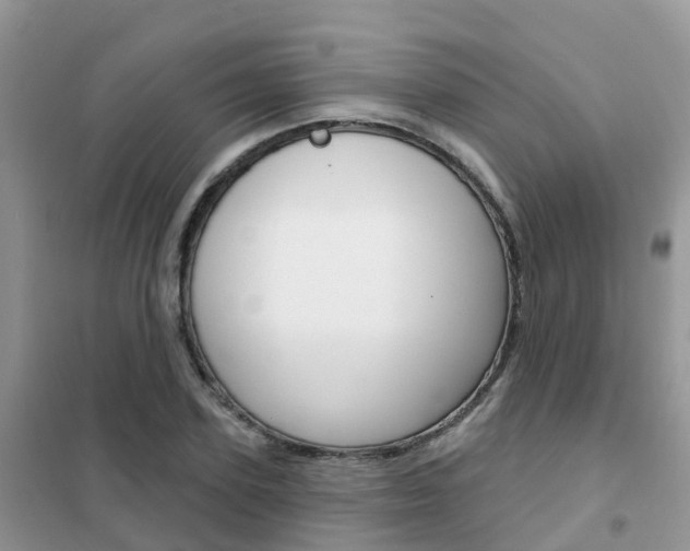 X0000102360931200808010956