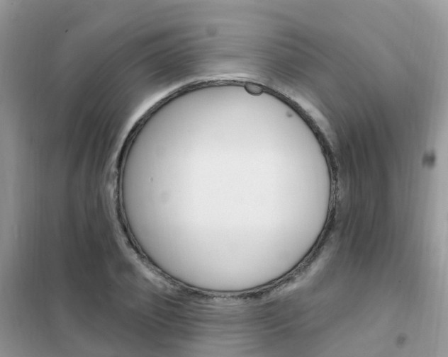 X0000102360933200808010956