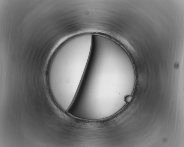 X0000102360934200808010956