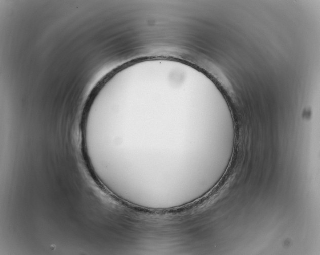 X0000102360936200808010956