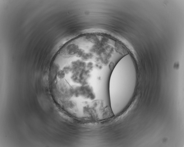 X0000102360937200808010956