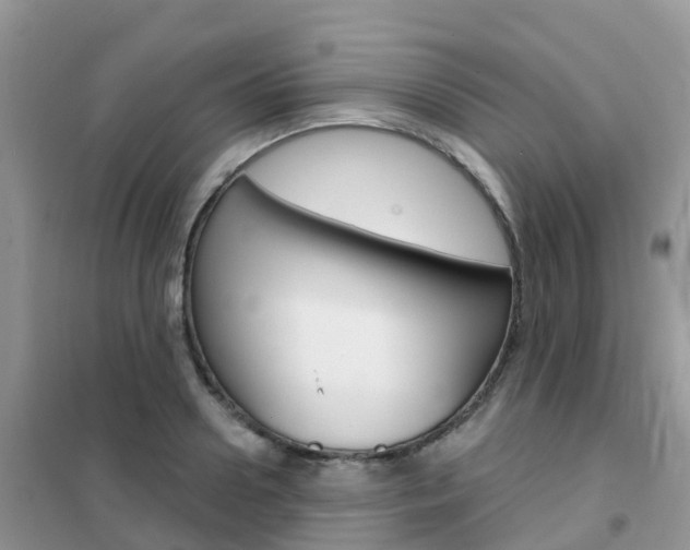 X0000102360938200808010956