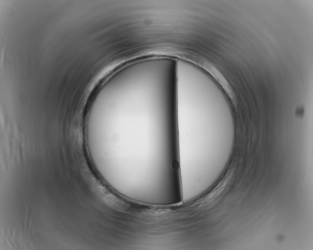 X0000102360939200808010956