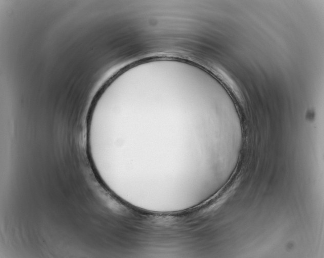 X0000102360940200808010956