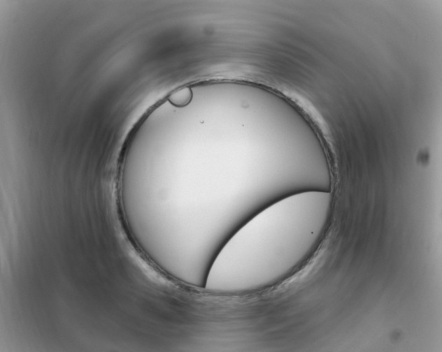 X0000102360941200808010956