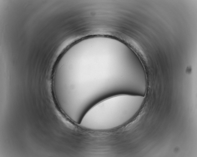 X0000102360942200808010956