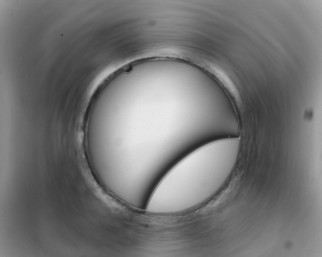 X0000102360944200808010956