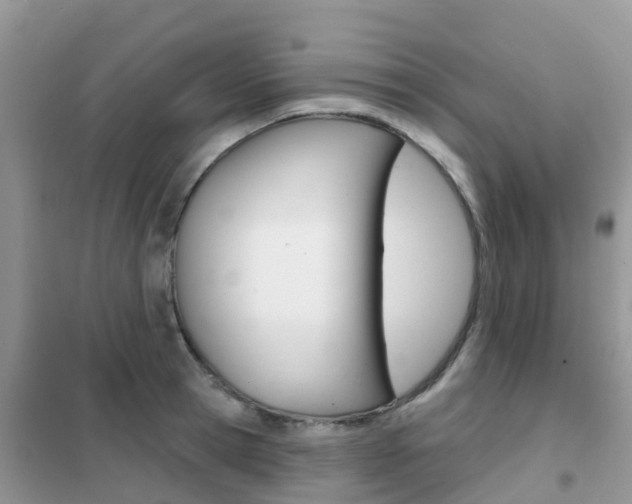 X0000102360945200808010956