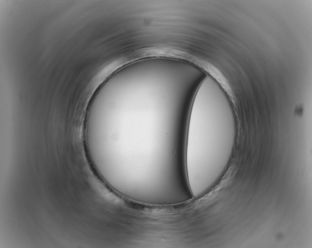 X0000102360946200808010956
