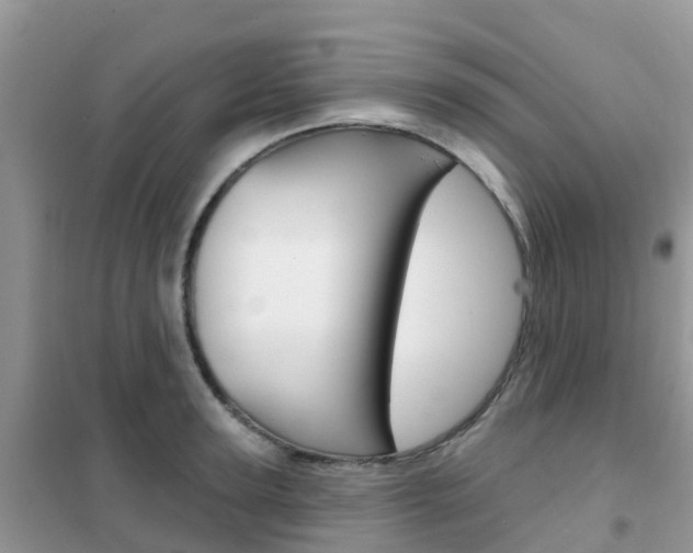 X0000102360947200808010956