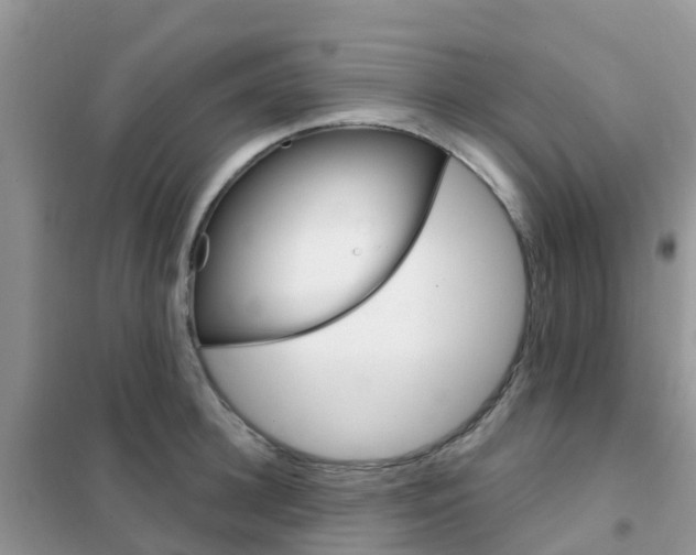 X0000102360948200808010956
