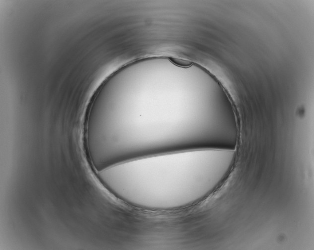 X0000102360949200808010956