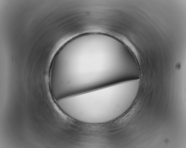 X0000102360951200808010956