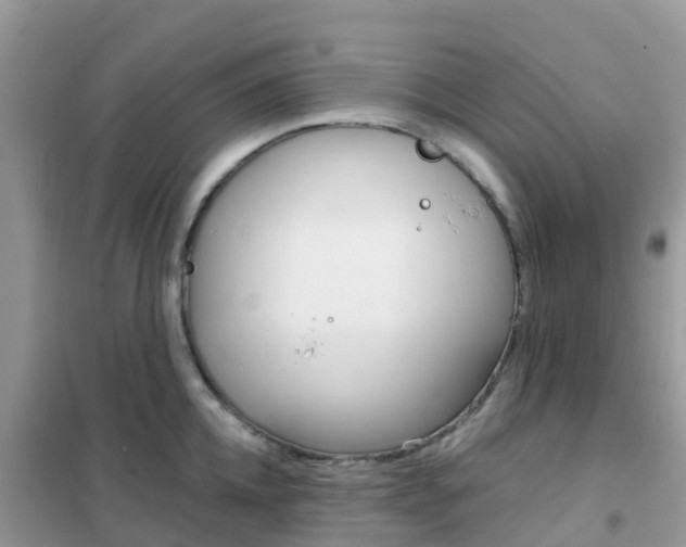 X0000102360952200808010956