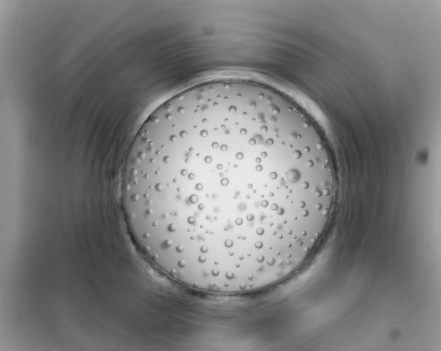 X0000102360953200808010956