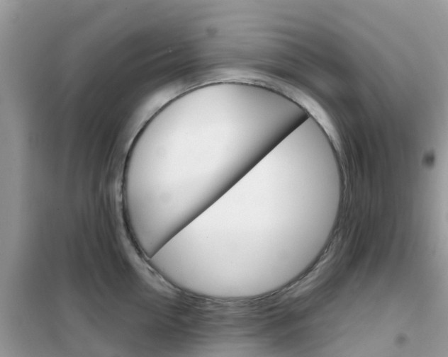 X0000102360954200808010956