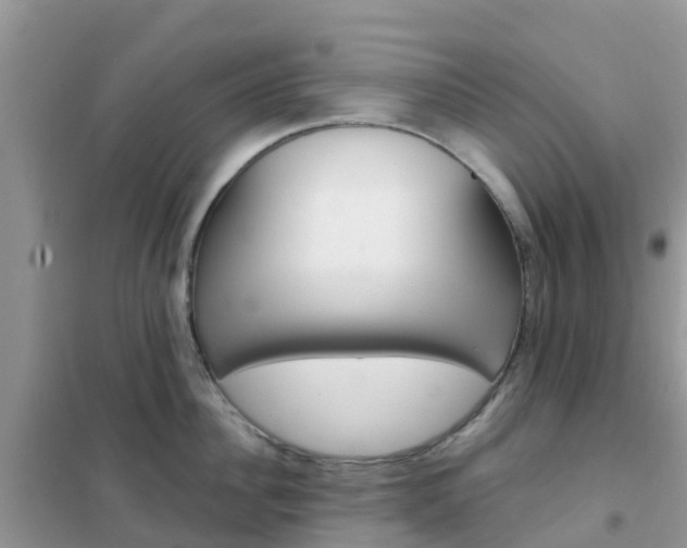 X0000102360956200808010956