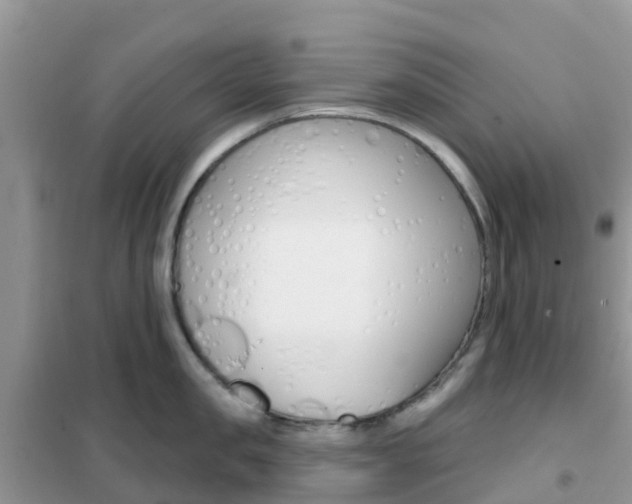 X0000102360957200808010956