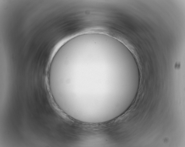 X0000102360960200808010956