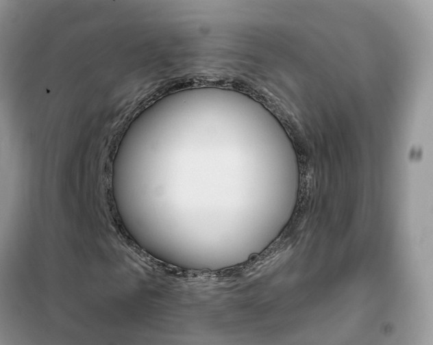 X0000102360961200808010955
