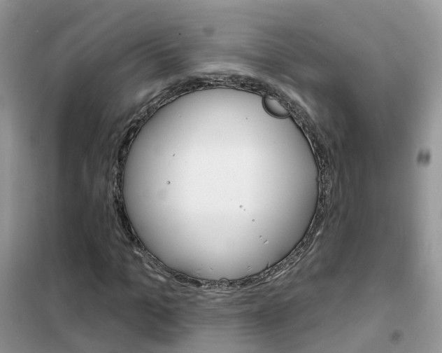 X0000102360965200808010955