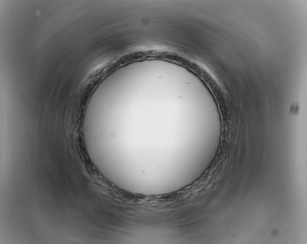 X0000102360967200808010955