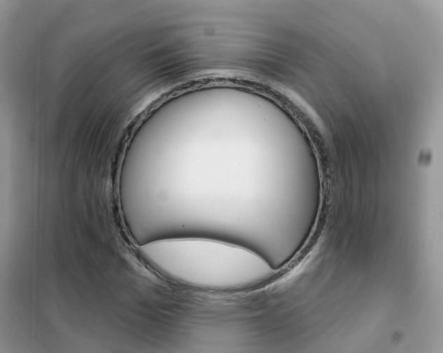 X0000102360969200808010955