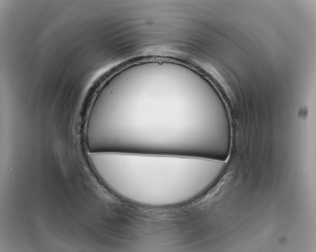 X0000102360971200808010955