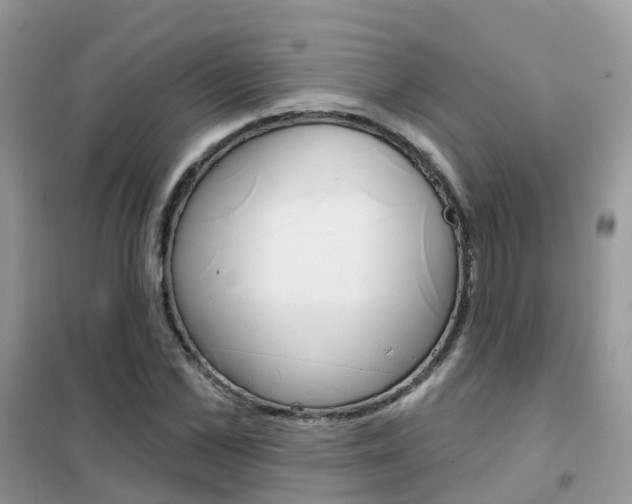 X0000102360973200808010955