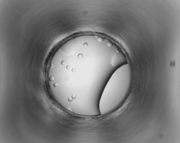 X0000102360974200808010955