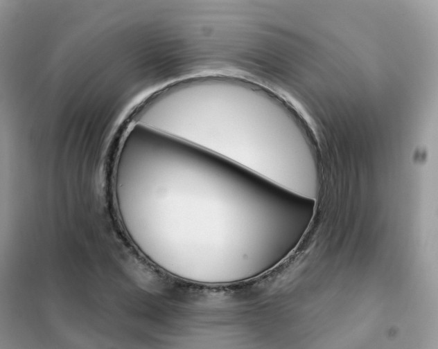 X0000102360975200808010955