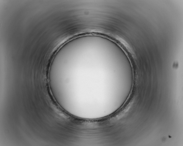 X0000102360977200808010955
