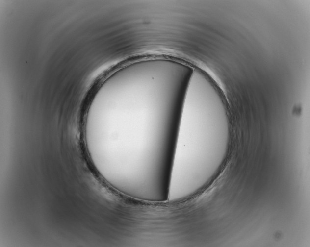 X0000102360979200808010955