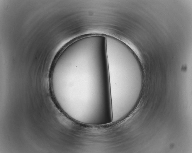 X0000102360980200808010955