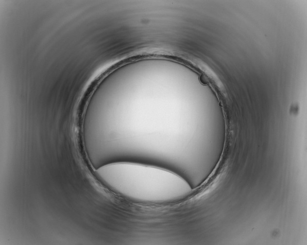 X0000102360981200808010955