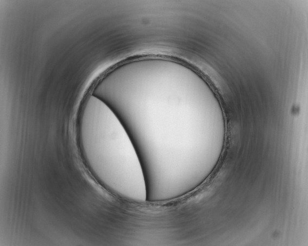 X0000102360982200808010955