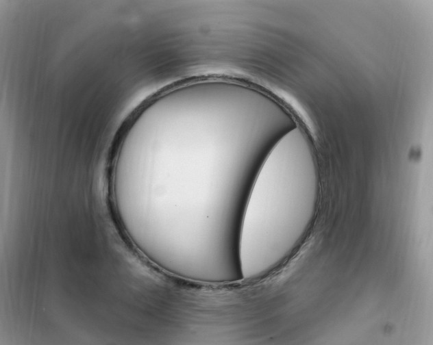 X0000102360983200808010955