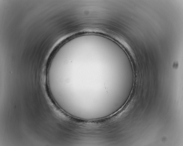 X0000102360984200808010955