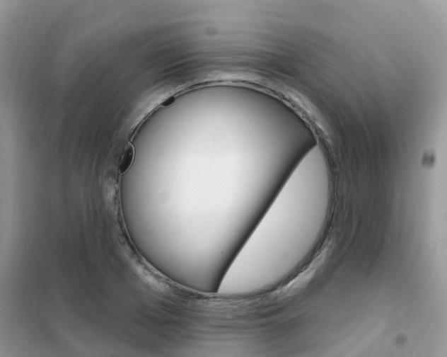 X0000102360985200808010955