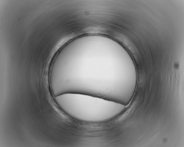 X0000102360986200808010955