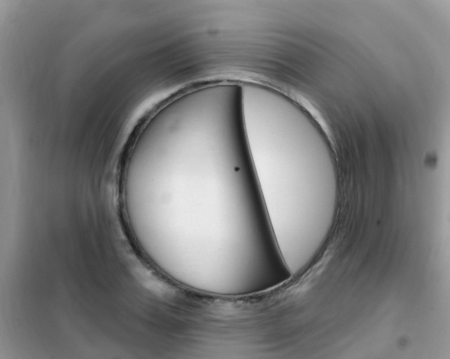X0000102360987200808010955