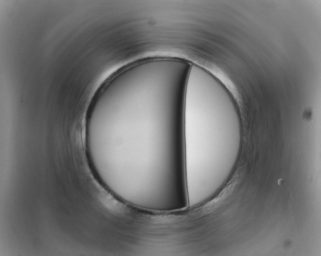 X0000102360988200808010955