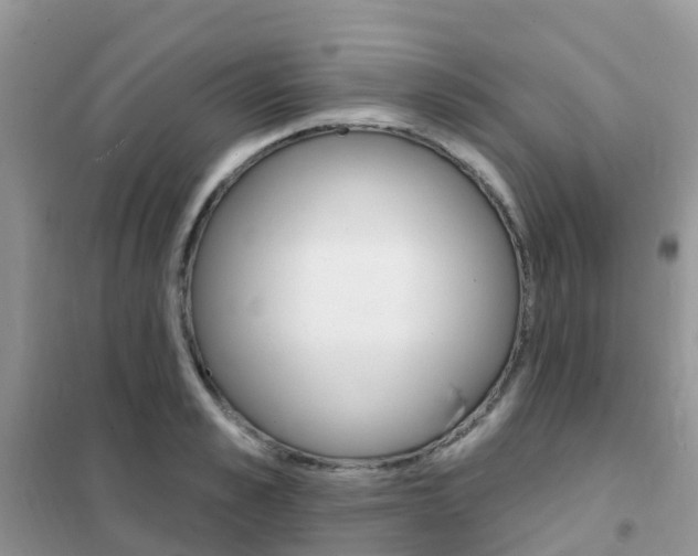 X0000102360989200808010955