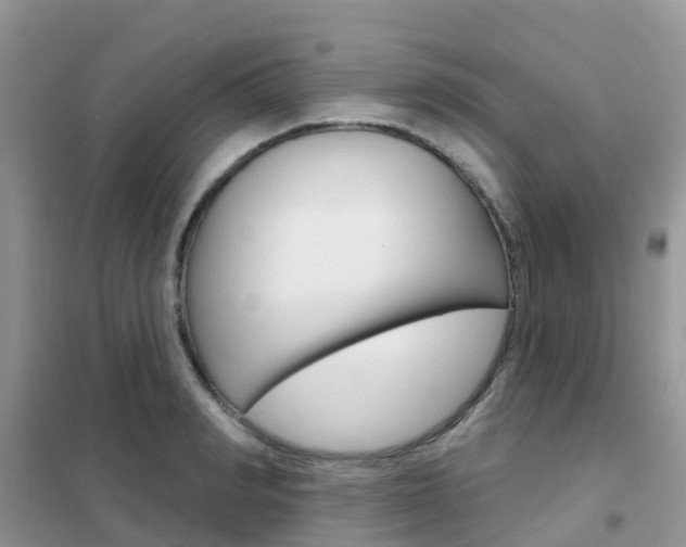 X0000102360990200808010955