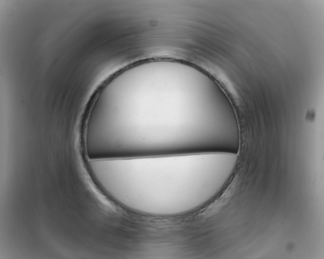 X0000102360991200808010955
